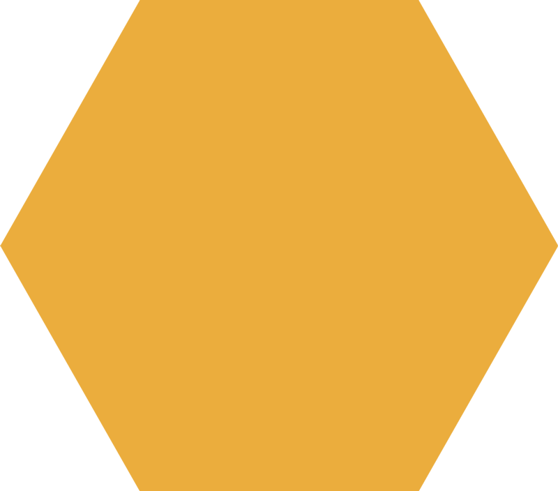 Orange hexagon