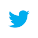 Twitter Icon