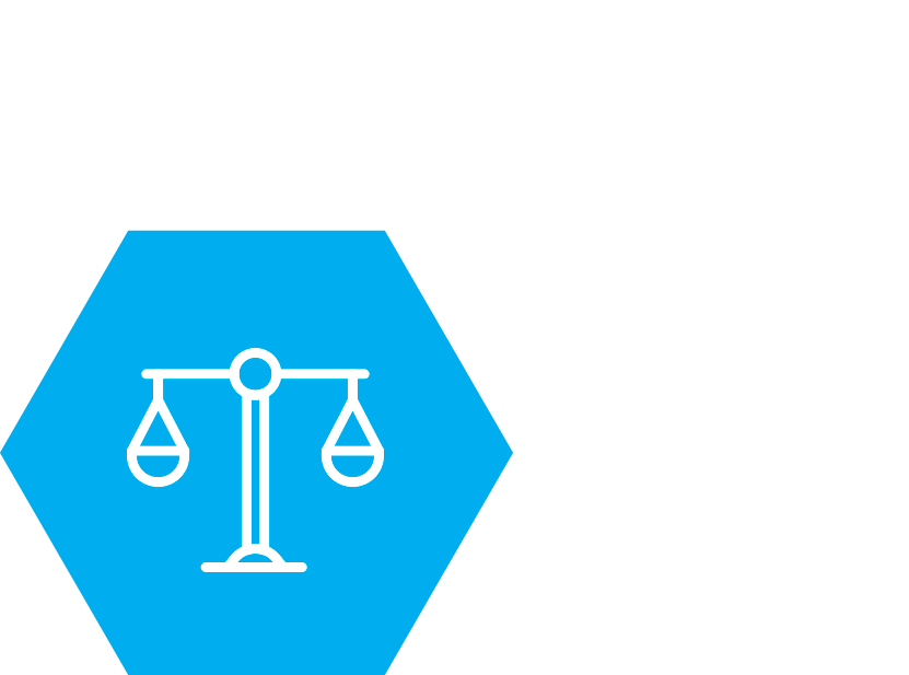 Scale icon